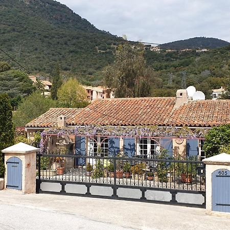 Maison Provencale Кавалере-сюр-Мер Екстериор снимка